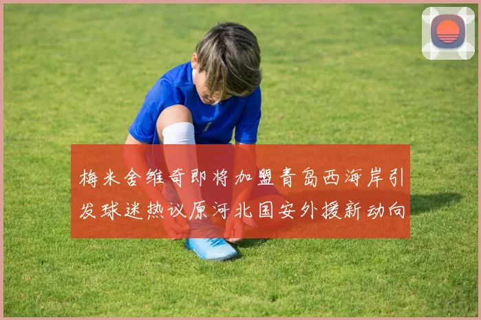 梅米舍维奇即将加盟青岛西海岸引发球迷热议原河北国安外援新动向