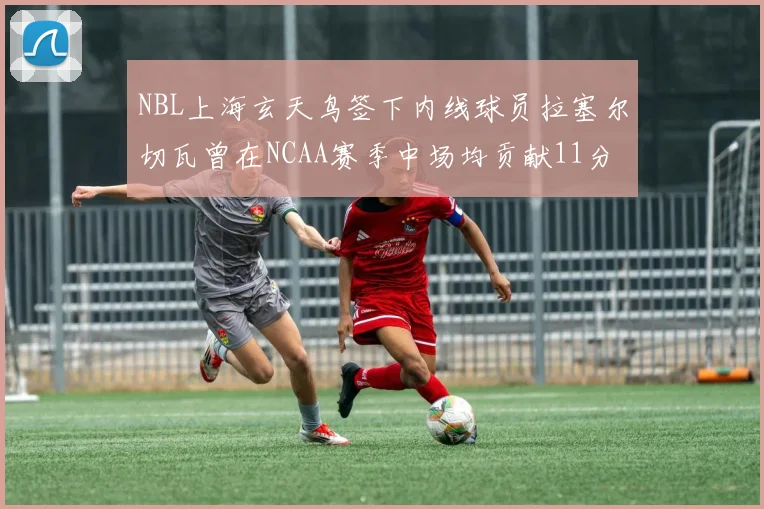 NBL上海玄天鸟签下内线球员拉塞尔切瓦曾在NCAA赛季中场均贡献11分8篮板
